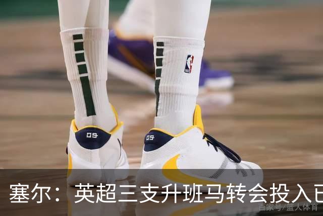 塞尔：英超三支升班马转会投入已达3.4亿，西甲升班马仅3500万